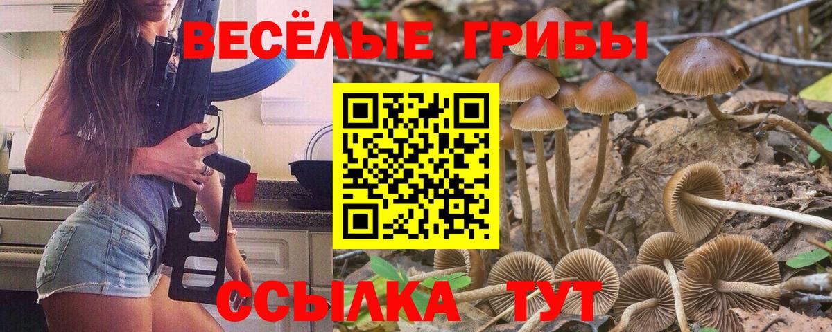 ГАШ Камень-на-Оби