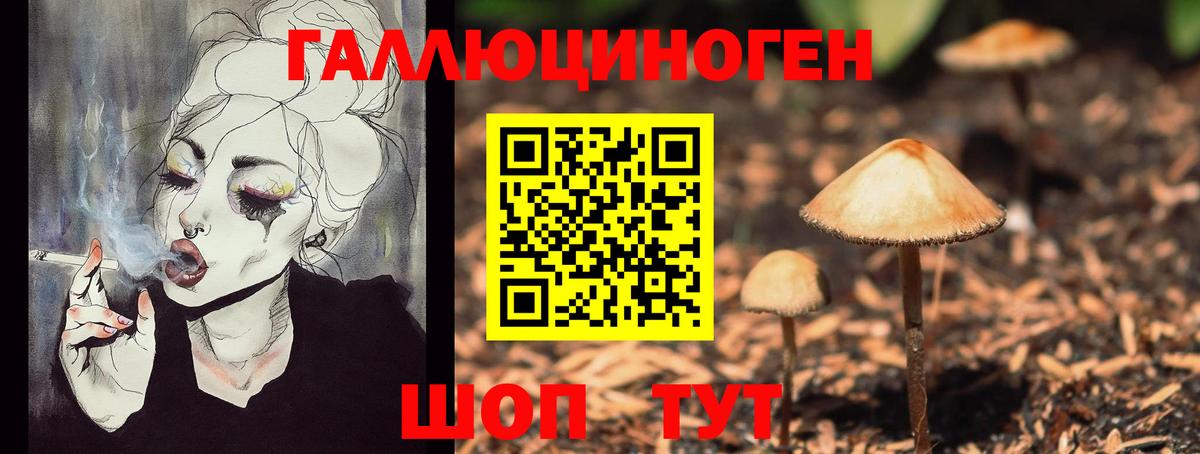 Псилоцибиновые грибы Psilocybine cubensis  Галлюциногенные грибы GOLDEN TEACHER  Камень-на-Оби  Вход с VPN 