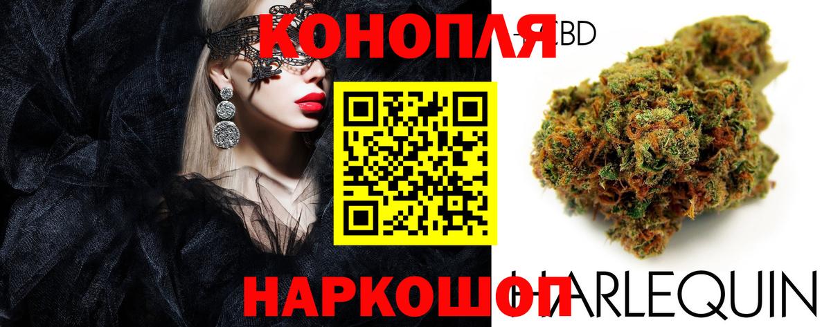 Бошки марихуана план  Вход с VPN  Шишки марихуана сатива  Камень-на-Оби 
